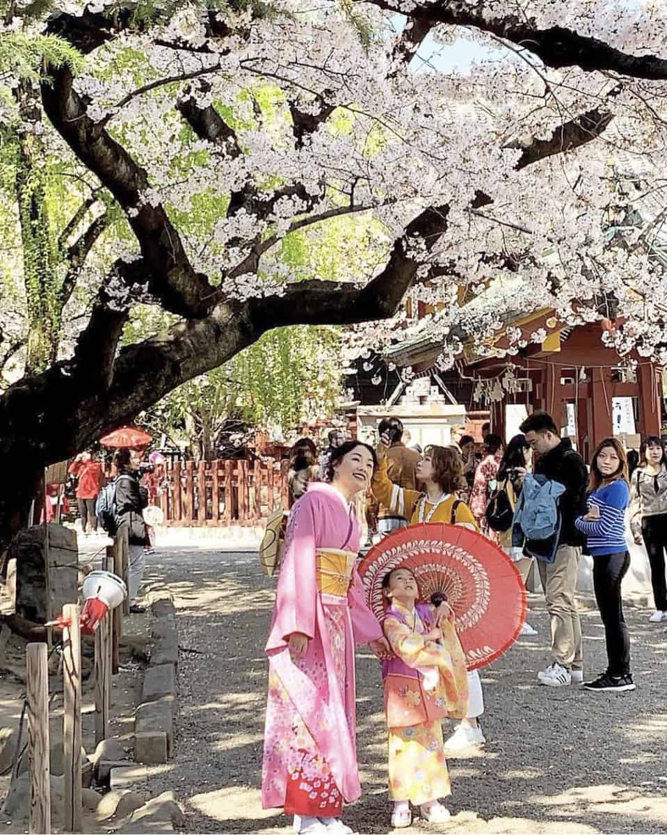 Japanese Culture for Kids