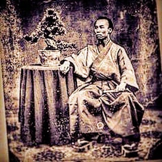 Who Invented Bonsai? The Surprising History of Bonsai