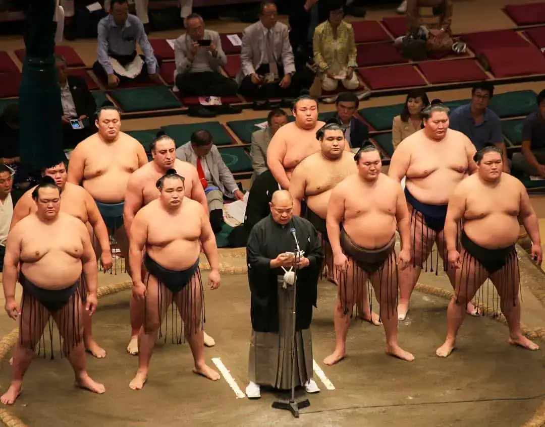 24 Answers About Sumo Wrestlers