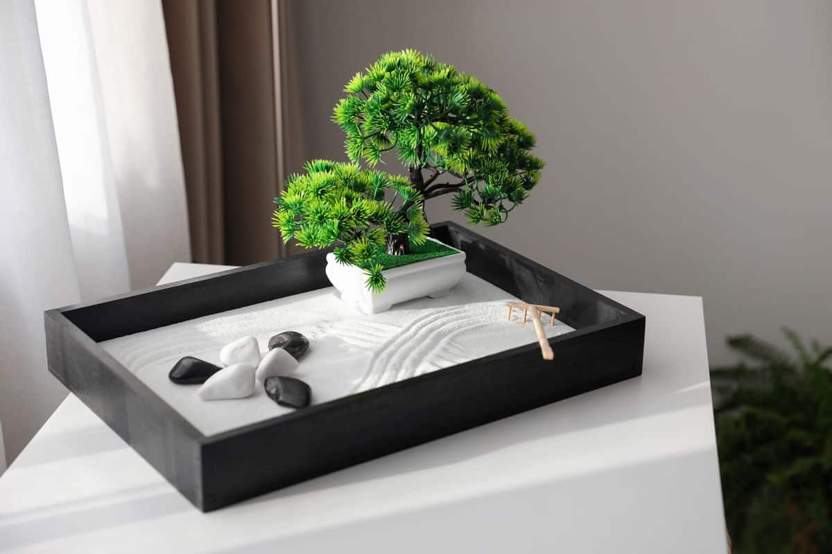 Where Can I Put a Mini Zen Garden?