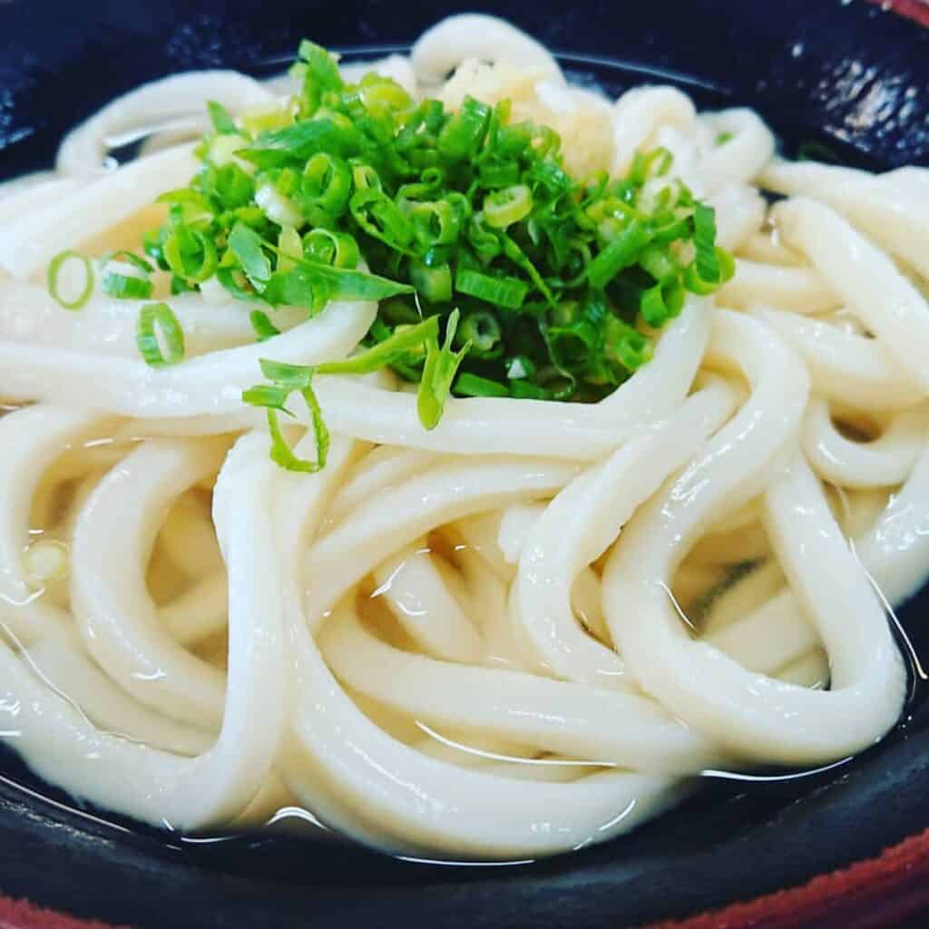 are udon noodles kept friendly