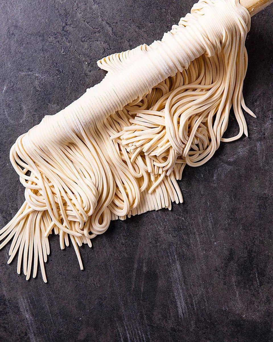 Can Udon Noodles Be Frozen? This Is What You Need To Know