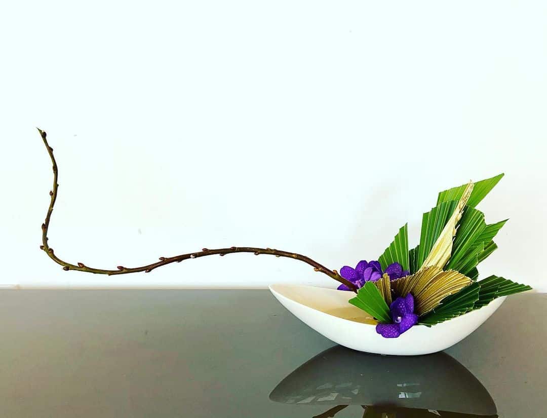 Everything You Need to Know About the Basic Principles of Ikebana