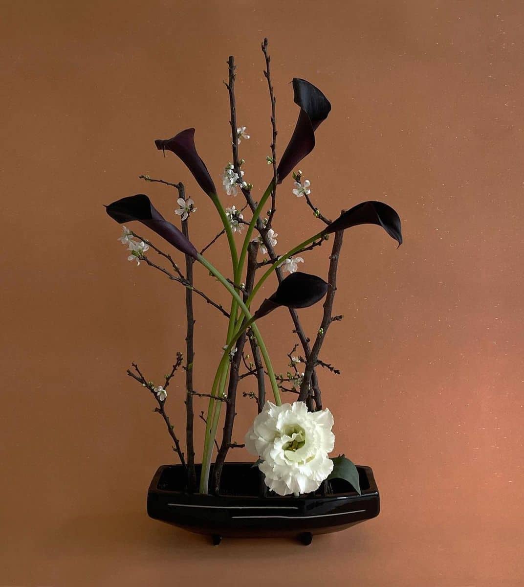 Everything You Need To Know About The Basic Principles Of Ikebana