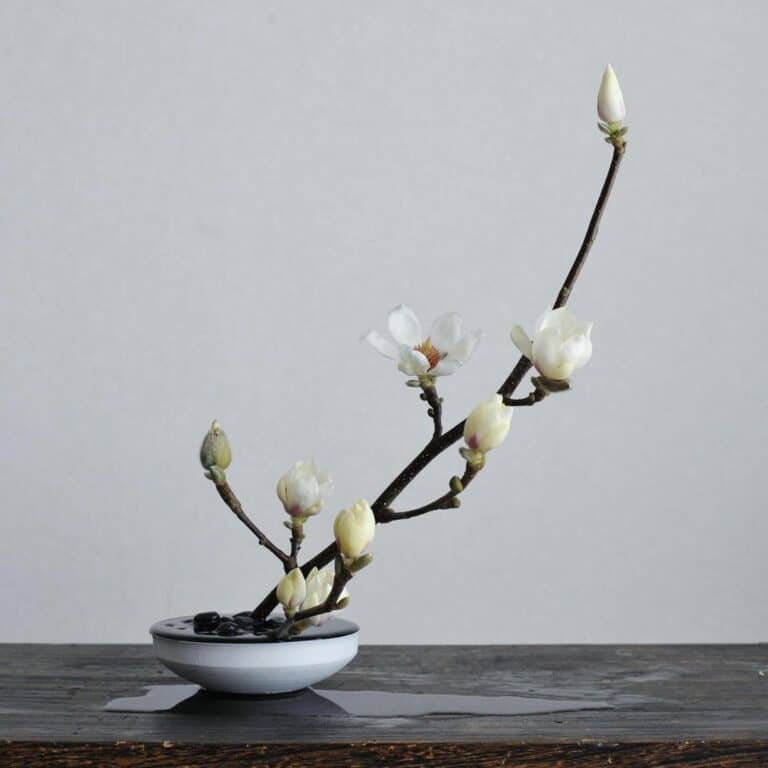 Everything You Need to Know About the Basic Principles of Ikebana