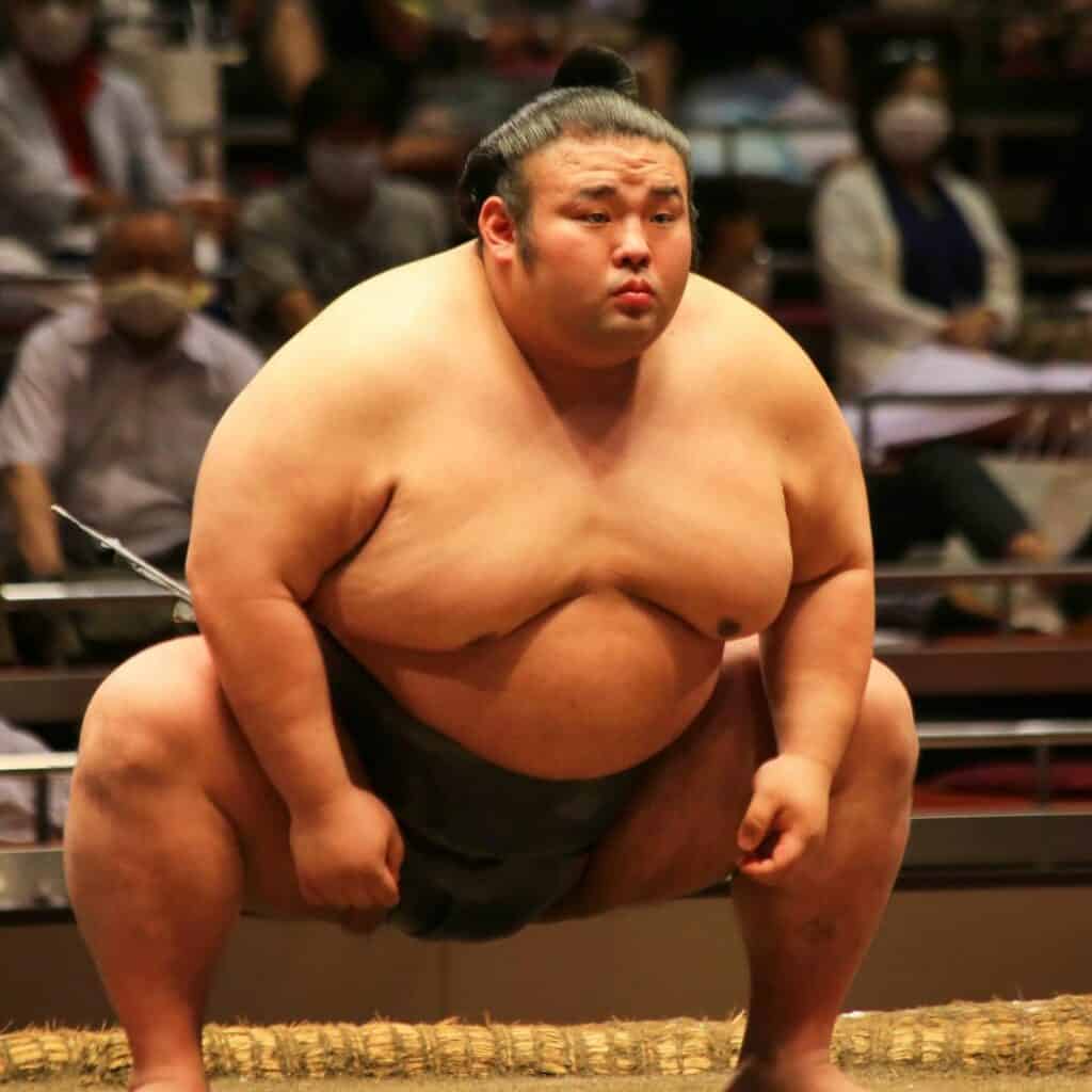 24-Answers-About-Sumo-Wrestlers-7-1024x1024.jpg