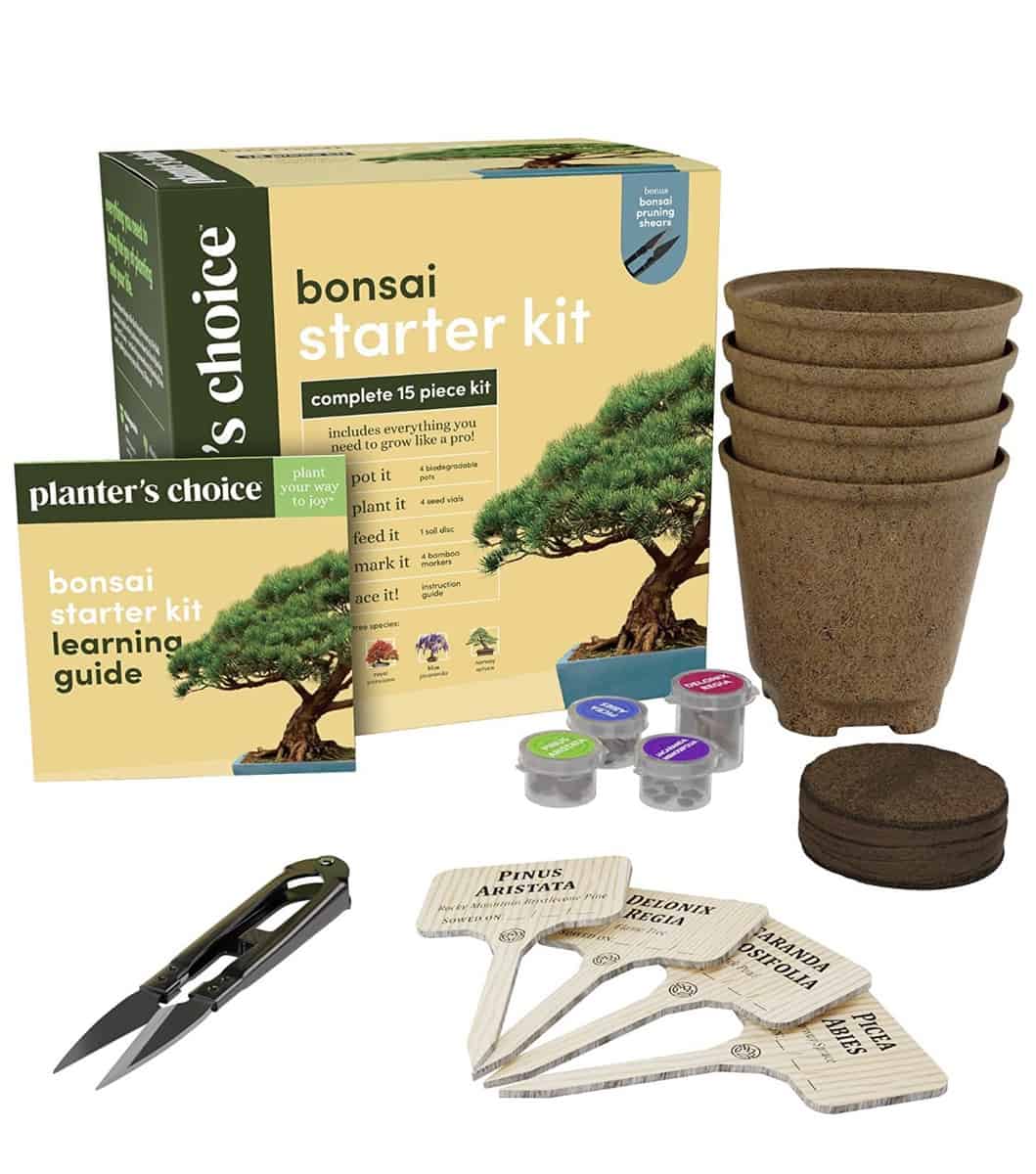 Best Bonsai Starter Kits Planters Choice Bonsai Starter Kit Instructions