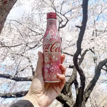 Is all cherry blossom edible?
