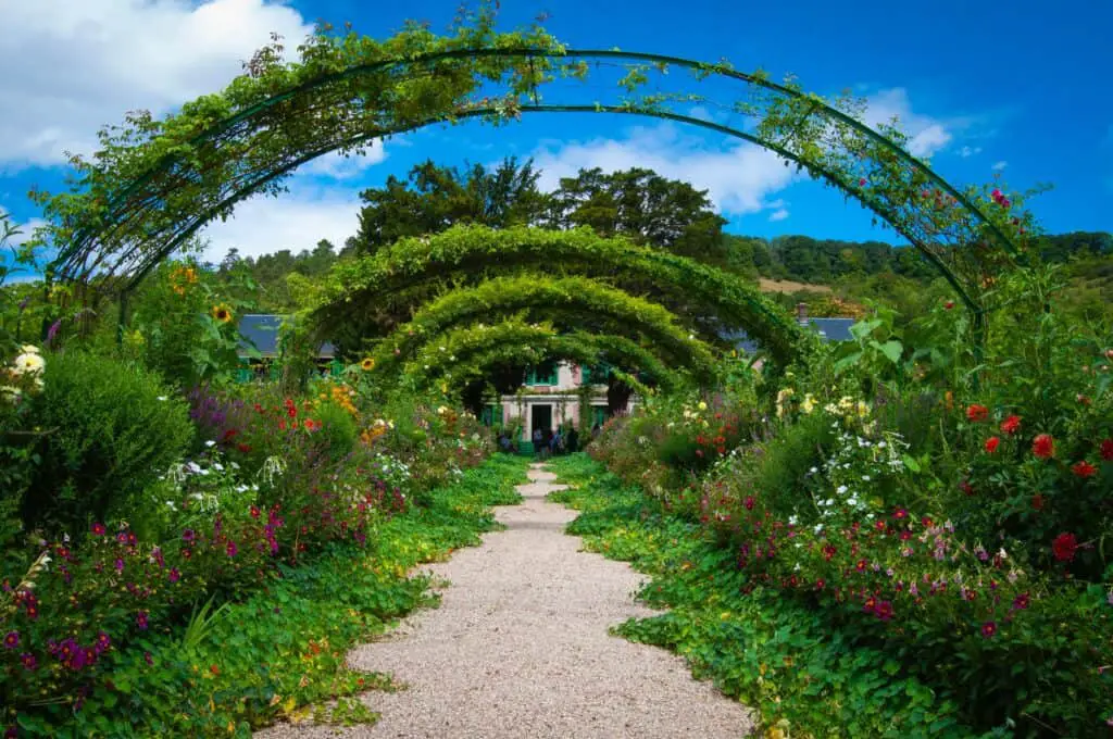 Hedges trimmed with Japanese garden tools