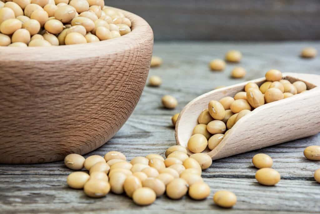 Soybeans in a wooden spatula and a bowl