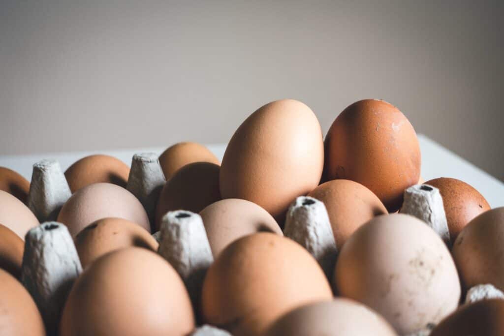 Eggs in a carton