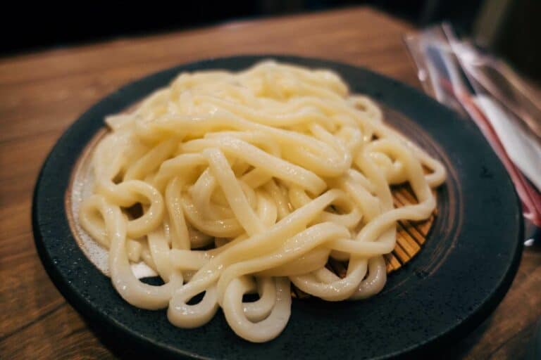 Close-up shot of udon noodles
